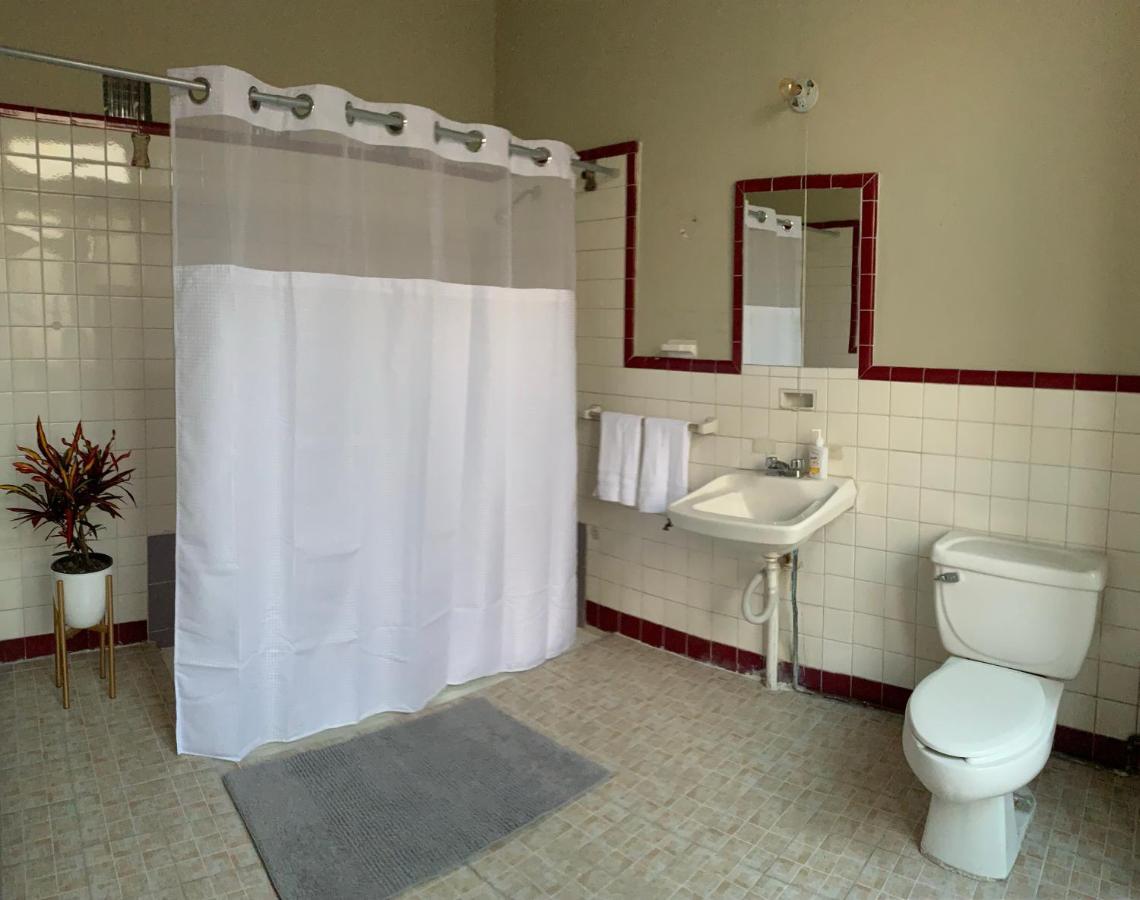 סן לואיס פוטוסי Iturbide500 Hostal מראה חיצוני תמונה