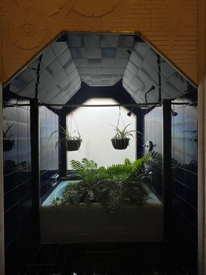 סן לואיס פוטוסי Iturbide500 Hostal מראה חיצוני תמונה